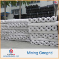 Plastic Polypropylene PP HDPE Polyester Fiberglass Biaxial Uniaxial Geogrid